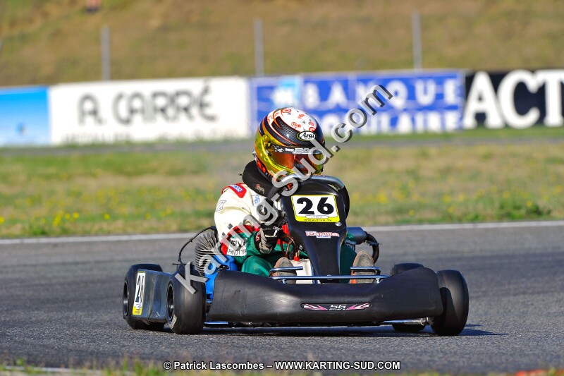 DSC_ (951).jpg